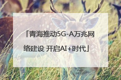 青海推动5G-A万兆网络建设 开启AI+时代
